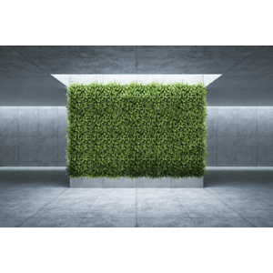 ILA - Poloprírodná zelená stena GRASS MIX