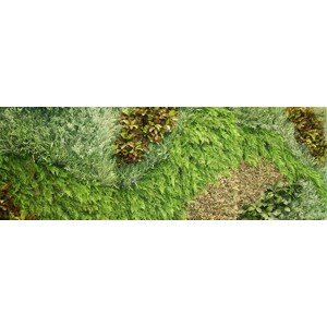 ILA - Poloprírodná zelená stena STYLISH